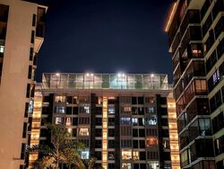 Watertown (D19), Apartment #455222491